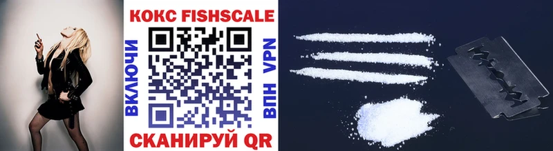 цены наркотик  Торопец  kraken как войти  COCAIN Fish Scale 