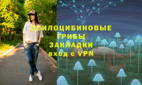 хмурый Балабаново