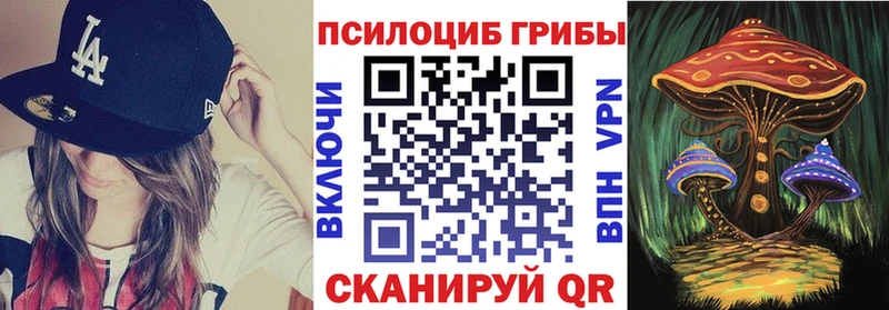 Псилоцибиновые грибы Psilocybine cubensis  Торопец 